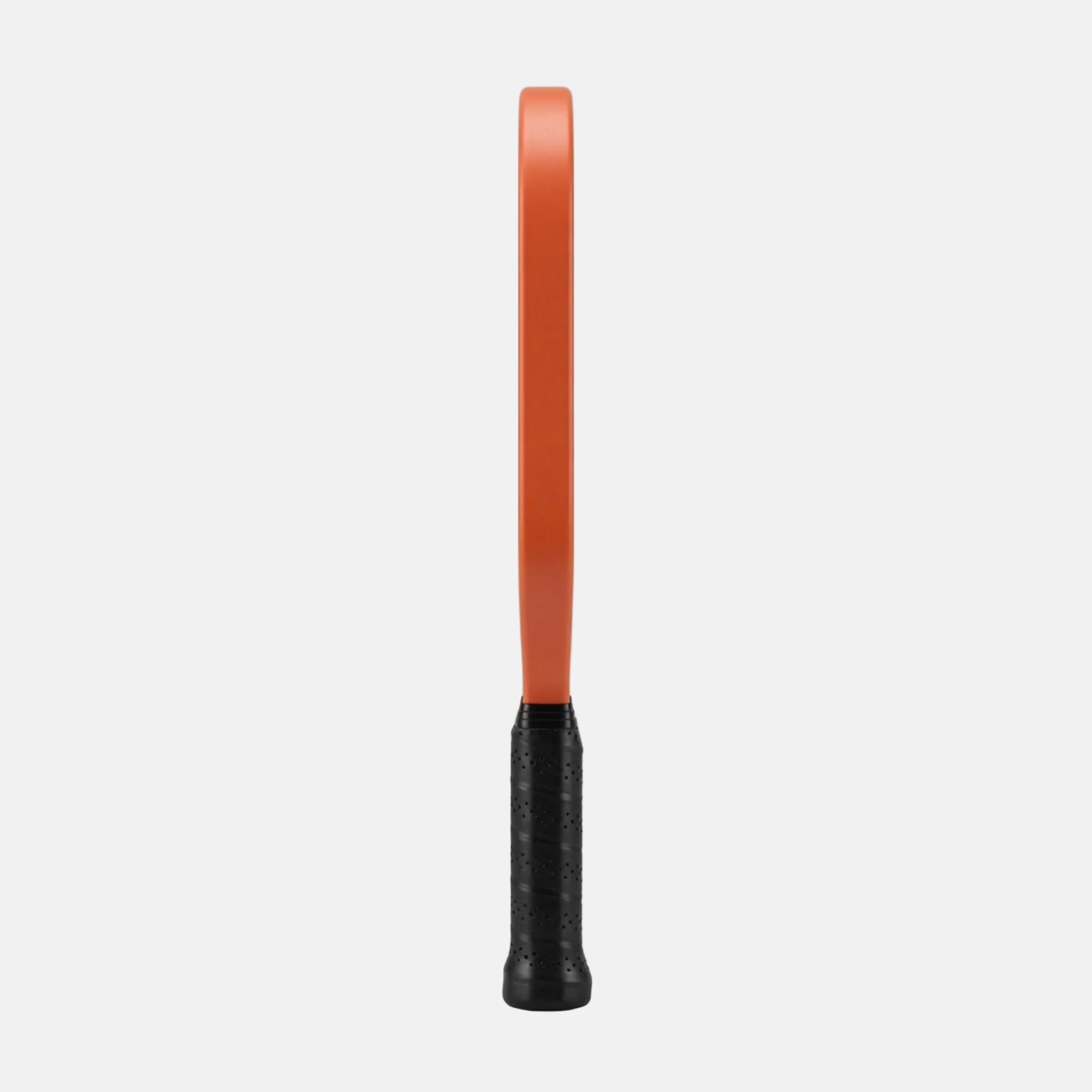 Rogue WingPro